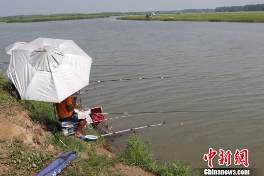 Lotus festival kicks off in Shenyang