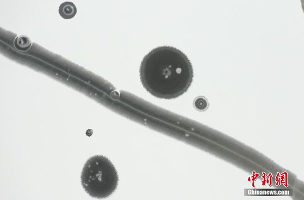 Ice, snow transforms Hunhe River area into ink wash painting