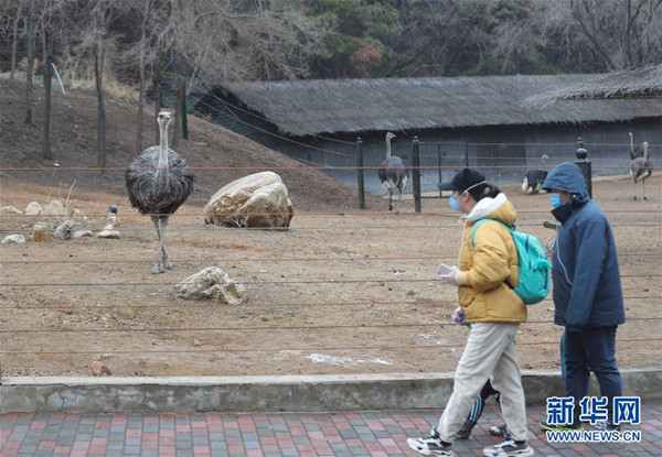 Shenyang Forest Zoological Garden reopens to the public