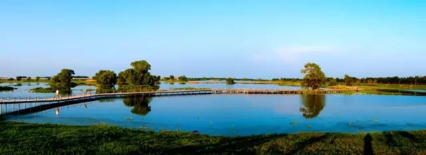 Shenbei spring tourism season kicks off