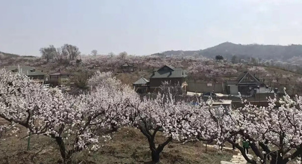 Hunnan district offers spring tourism activities