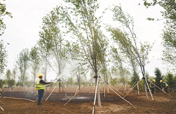 New ecological park under construction in Shenyang
