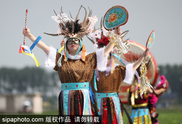 Xibe people mark Dragon Boat Festival in muddy rice fields