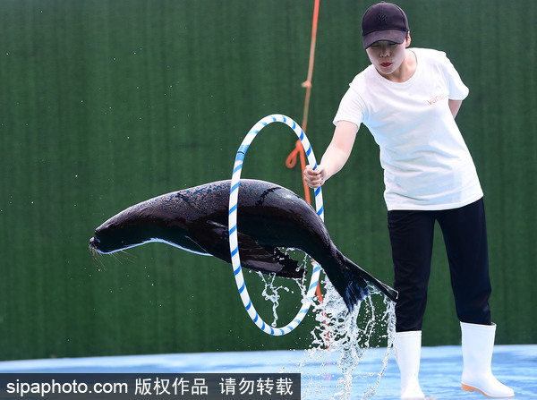 Shenyang Bird Island provides summer fun