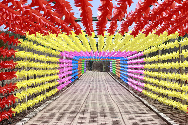 Windmill festival kicks off in Sujiatun district, Shenyang