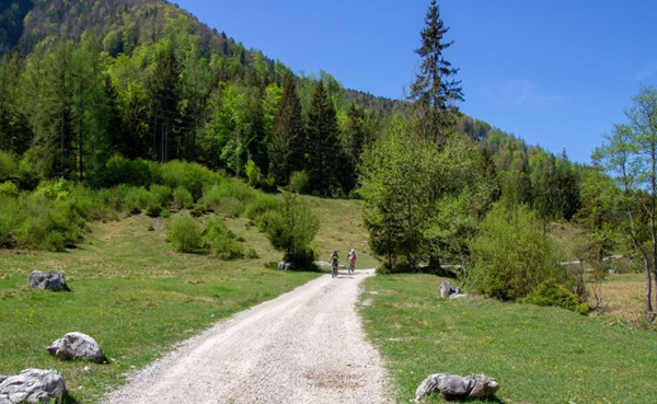 Recommended spring cycling routes in Shenyang (1)