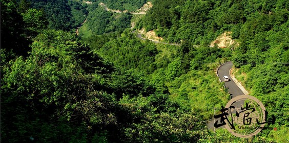 Diversified publicity encourages tourism