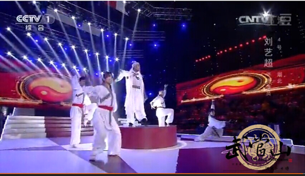 Wudang martial arts shine on <EM>Avenue of Stars</EM>