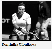 Cibulkova calls it quits