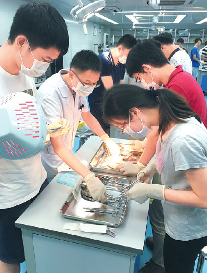 Making doctors doers