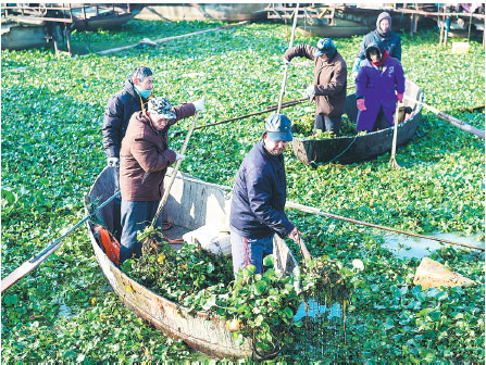 Researchers mull ways to improve use of resources