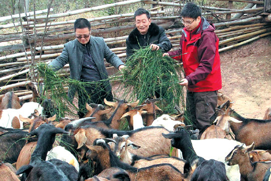 China Three Gorges helps migrant villagers