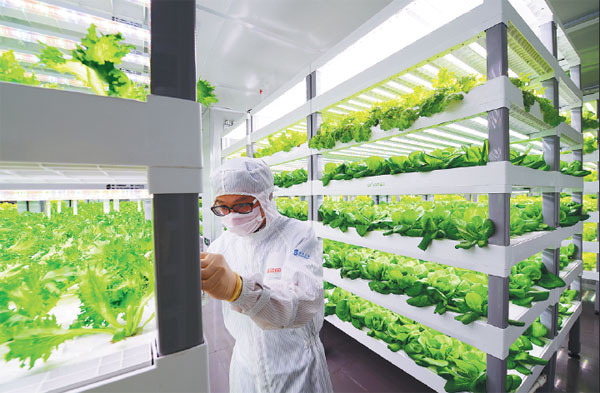 Sustainable food production looking up