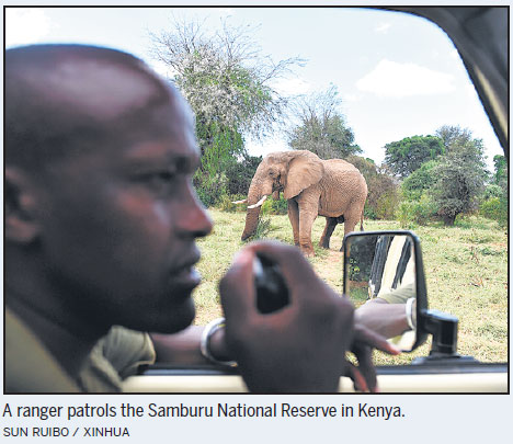 Census shows rapid decline in the number of elephants in Africa