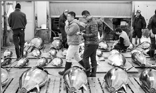 Famous Tsukiji fish market will be remade, not destroyed