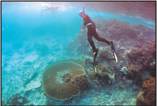 Reef report sends economic warning