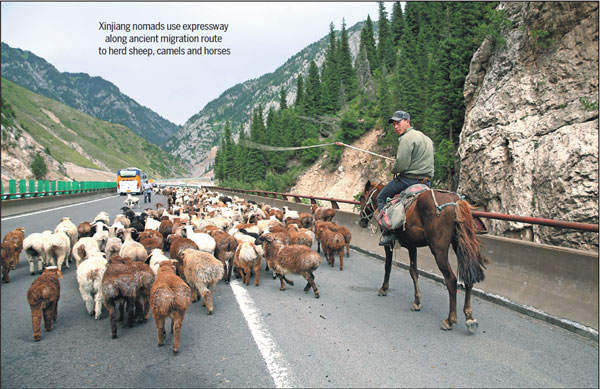 Hoofing it in the fast lane