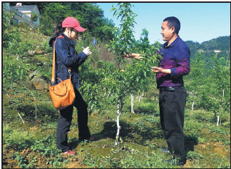 Learning lessons about the countryside