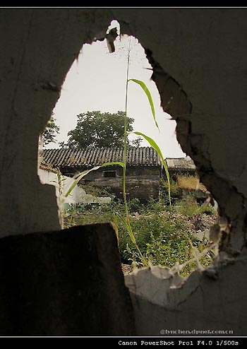 Relocation of Dashilan