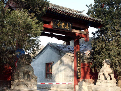 The Zhenjue Temple (Zhen Jue Si)