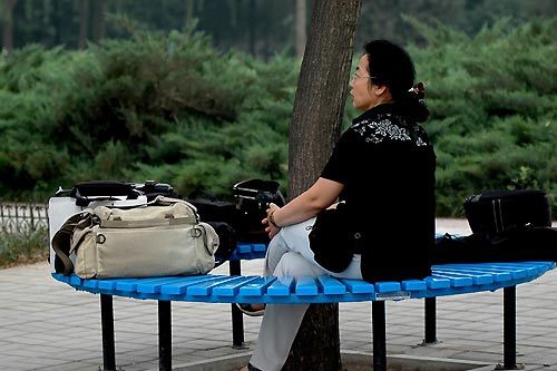 In the Lotus Pond Park (Lian Hua Chi)