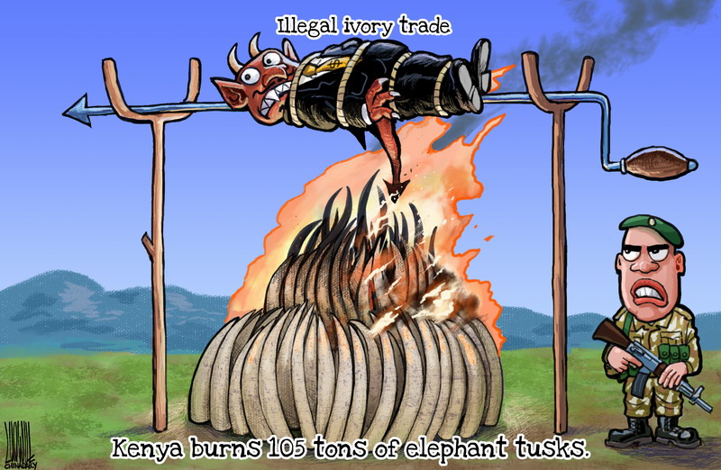 Illegal ivory trade