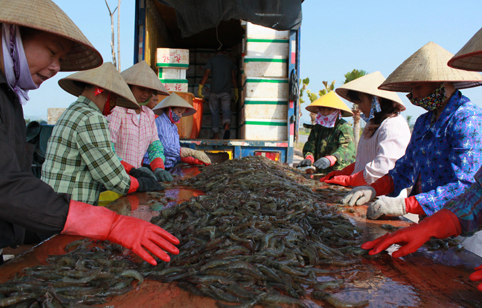 Fang Chenggang: The Oriental Hawaii