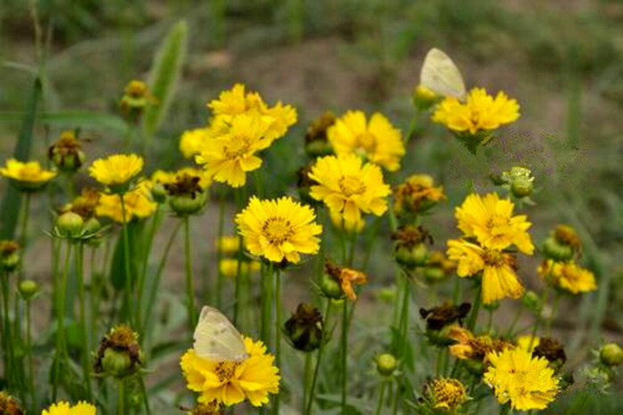 Taizhou, a peaceful and prosperous city