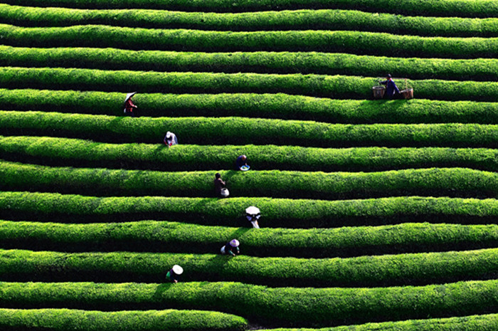 Wuyi County, a city of hot springs