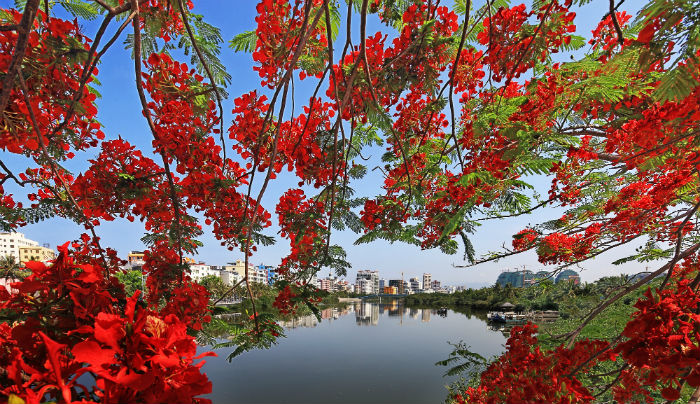 Sanya: A blue and green city