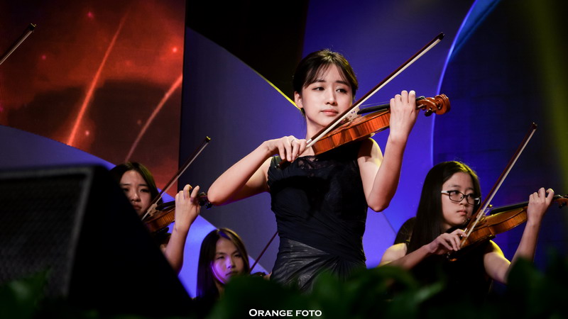 My beautiful college campus