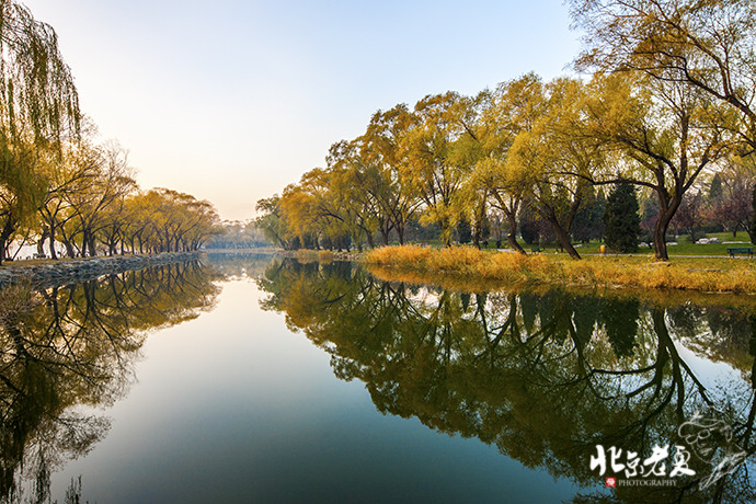 Four seasons in Beijing's parks