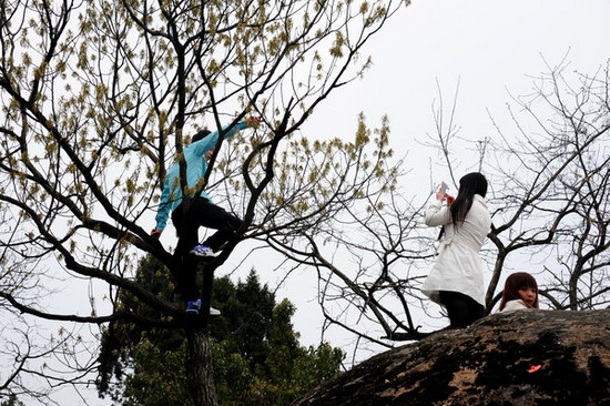 Should tourists' bad behavior be regulated?