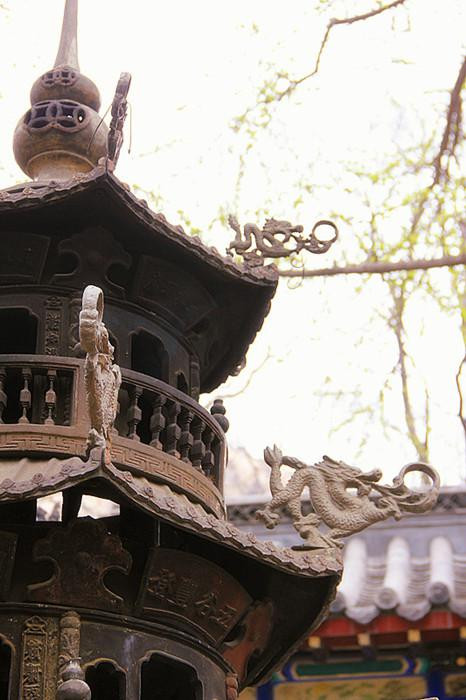 Qingdao, a city with green trees and red roofs