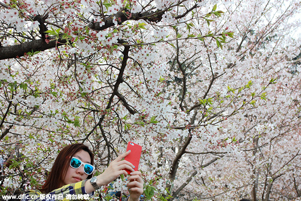 Building world-class universities in China