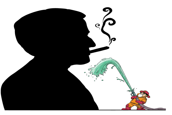 Top 10 domestic news cartoons