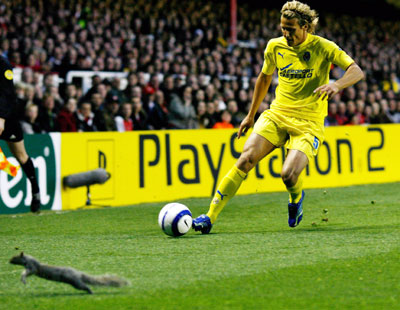 A squirrel runs off the pitch as Villarreal's Diego Forlan crosses the ball during the Champions League first leg semi-final soccer match against Arsenal at Highbury in London April 19, 2006.