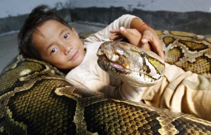 Six-year-old Cambodian boy Oeun Sambat hugs his best friend, 5-metre-long and six-year-old female python named Chamreun or "Lucky" in the village of Sit Tbow in Kandal province, some 50km (31 miles) east of Phnom Penh June 3, 2006. Superstitious villagers in the impoverished southeast Asian nation are flocking to see the boy, who they believe has supernatural powers and was proudly the son of a dragon in a former life. The female python came to live with Sambat in year 2000. [Reuters]