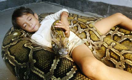 Six-year-old Cambodian boy Oeun Sambat hugs his best friend, 5-metre-long and six-year-old female python named Chamreun or "Lucky" in the village of Sit Tbow in Kandal province, some 50km (31 miles) east of Phnom Penh June 3, 2006. Superstitious villagers in the impoverished southeast Asian nation are flocking to see the boy, who they believe has supernatural powers and was proudly the son of a dragon in a former life. The female python came to live with Sambat in year 2000. [Reuters]