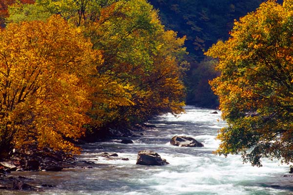 Yak Valley, Danba Couty, Sichuan Province