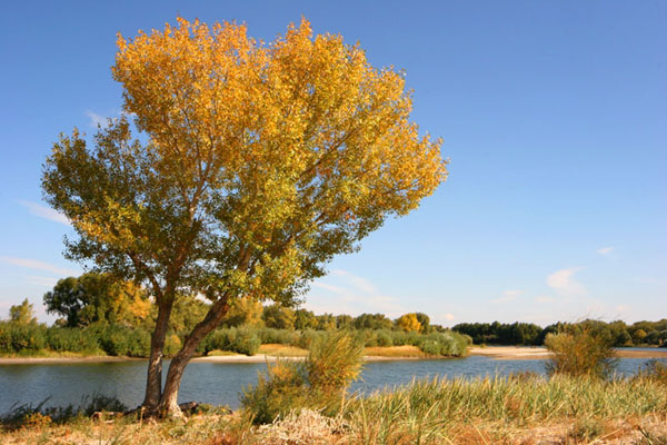 Beautiful sceneries in northern part of Xinjiang
