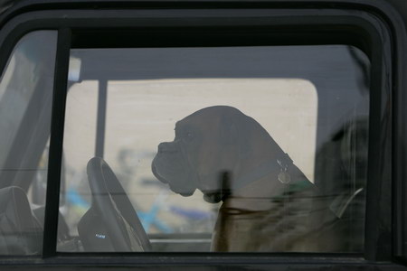 Photo selections from The Beijing News