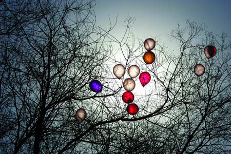 Photo selections from The Beijing News