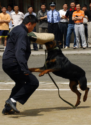 Anti-terrorism drill in Guiyang