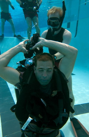 How the Seals were tempered