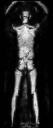 Full-body scanners revealed