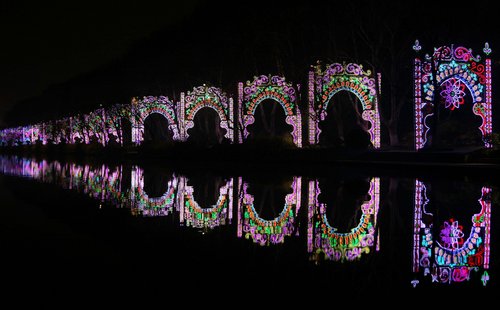 Weekly Photos: Jan.23 - 29