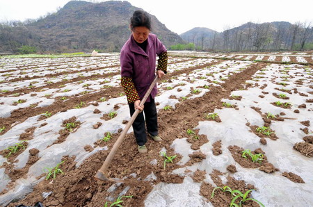 People struggle against drought in SW and S China