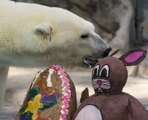 Polar bear bites a mock Easter Bunny