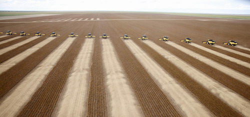 Soy harvest starts on a farm in Correntina